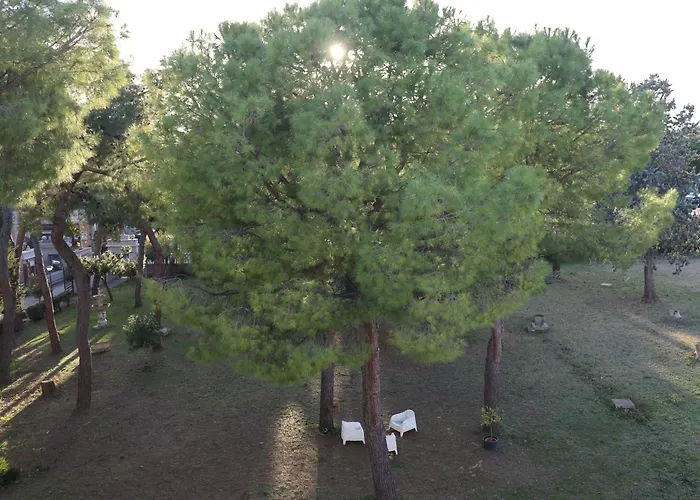 Bed & Breakfast E Private Prima Luce Foresteria