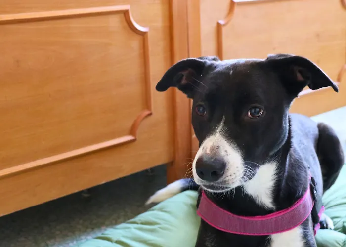 E Private Prima Luce Foresteria Giulianova