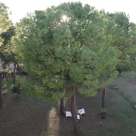 Bed & Breakfast E Private Prima Luce Foresteria