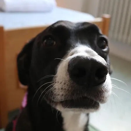 E Private Prima Luce Foresteria Giulianova