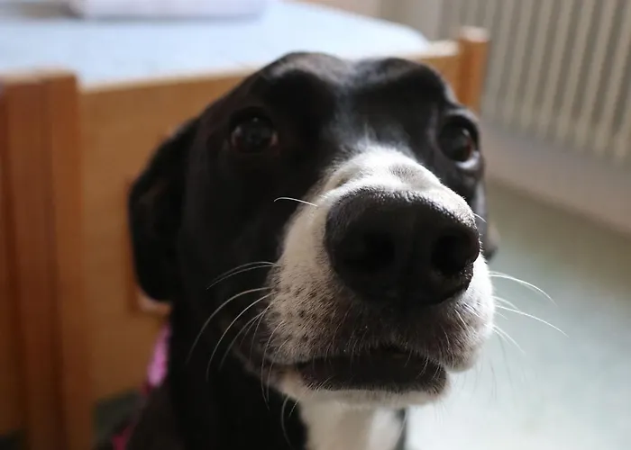 E Private Prima Luce Foresteria Джулианова