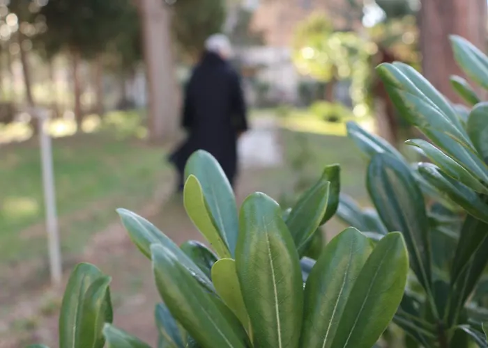 E Private Prima Luce Foresteria Джулианова